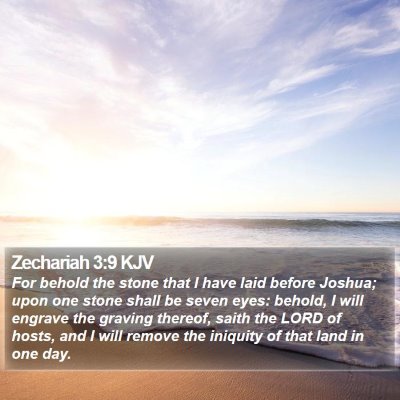Zechariah 3:9 KJV Bible Verse Image