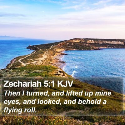 Zechariah 5:1 KJV Bible Verse Image