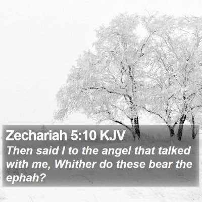 Zechariah 5:10 KJV Bible Verse Image