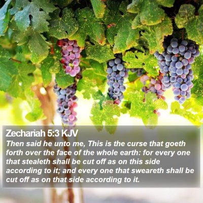 Zechariah 5:3 KJV Bible Verse Image