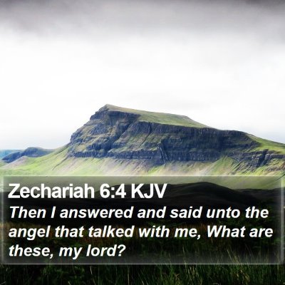 Zechariah 6:4 KJV Bible Verse Image