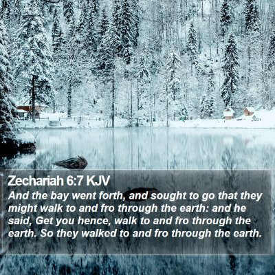 Zechariah 6:7 KJV Bible Verse Image