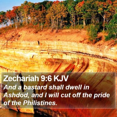 Zechariah 9:6 KJV Bible Verse Image
