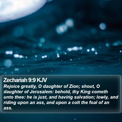Zechariah 9:9 KJV Bible Verse Image