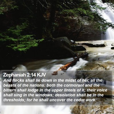Zephaniah 2:14 KJV Bible Verse Image
