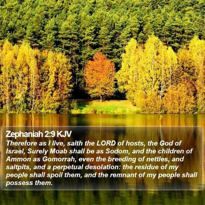 Zephaniah 2:9 KJV Bible Verse Image