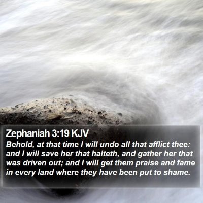 Zephaniah 3:19 KJV Bible Verse Image