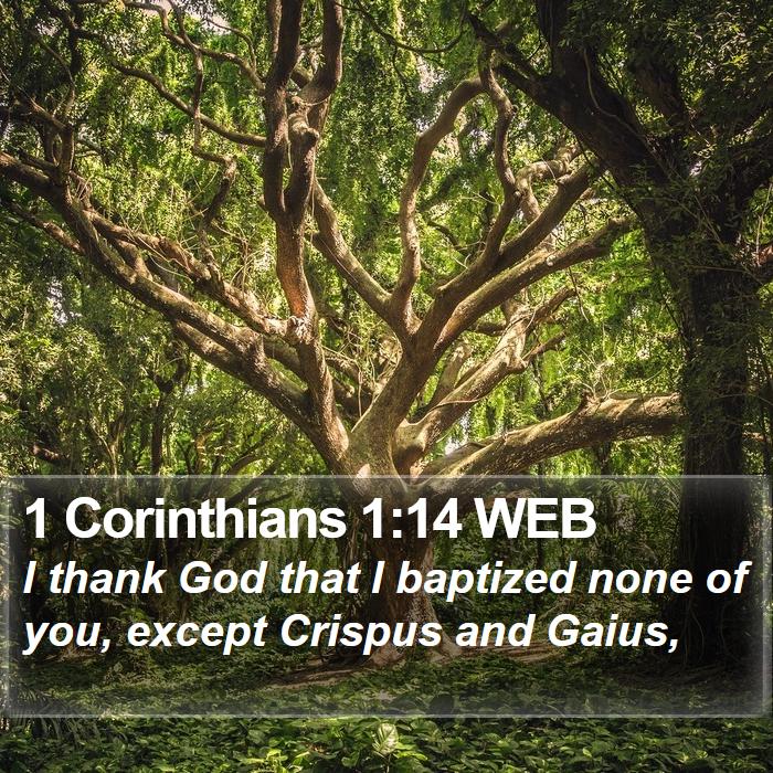 1 Corinthians 1:14 WEB - I thank God that I baptized none of you, except - Bible Verse Picture