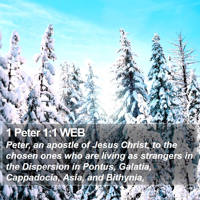 1 Peter 1:1 WEB - Peter, an apostle of Jesus Christ, to the chosen - Bible Verse Picture