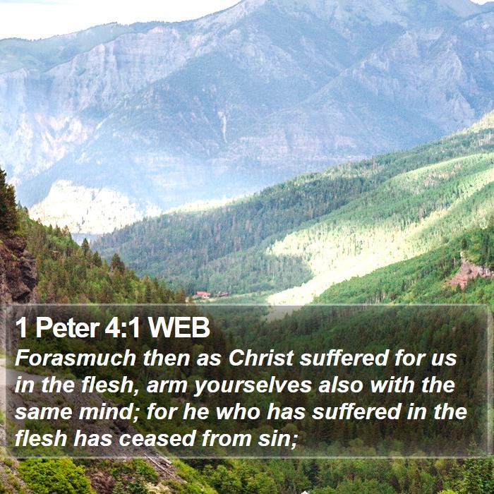 1 Peter 4:1 WEB - Forasmuch then as Christ suffered for us in the - Bible Verse Picture