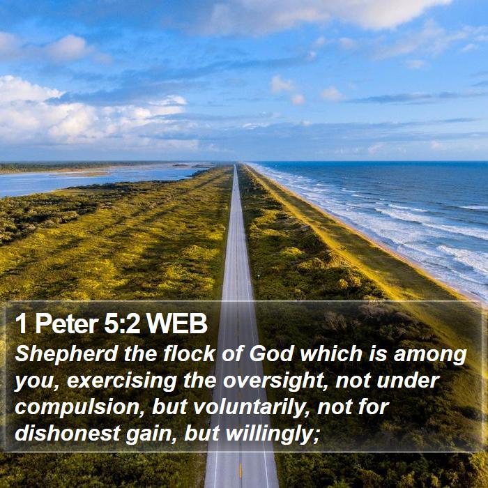 1 Peter 5:2 WEB - Shepherd the flock of God which is among you, - Bible Verse Picture