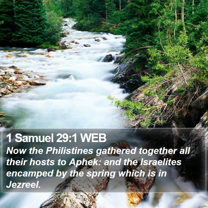 1 Samuel 29:1 WEB - Now the Philistines gathered together all their - Bible Verse Picture