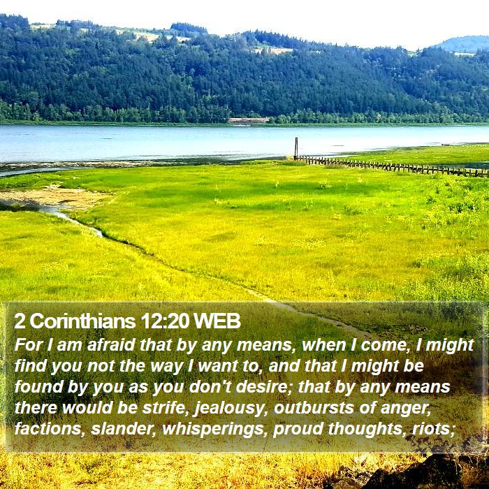 2 Corinthians 12:20 WEB - For I am afraid that by any means, when I come, I - Bible Verse Picture