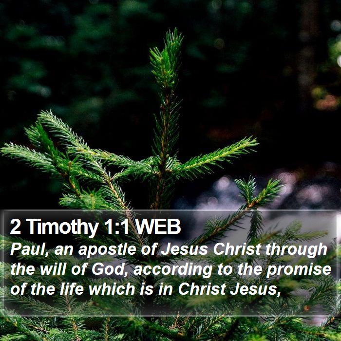 2 Timothy 1:1 WEB - Paul, an apostle of Jesus Christ through the will - Bible Verse Picture