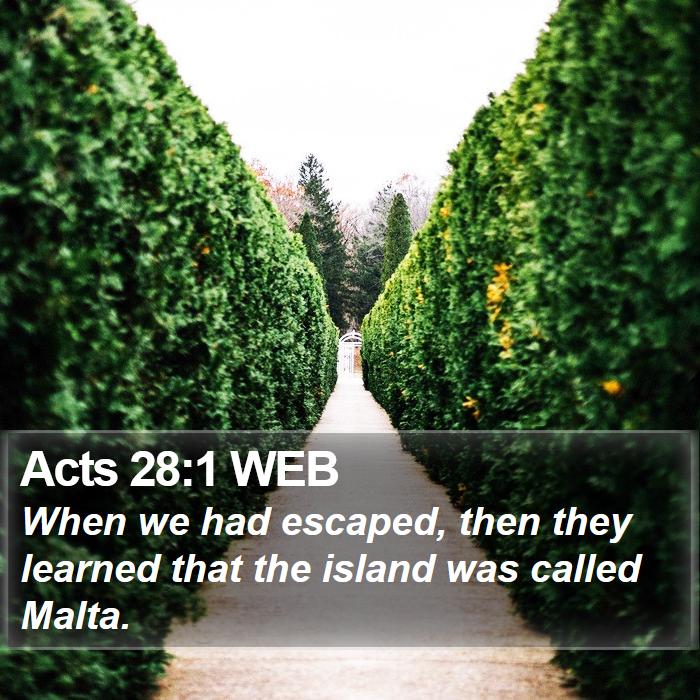 Acts 28:1 WEB - When we had escaped, then they learned that the - Bible Verse Picture