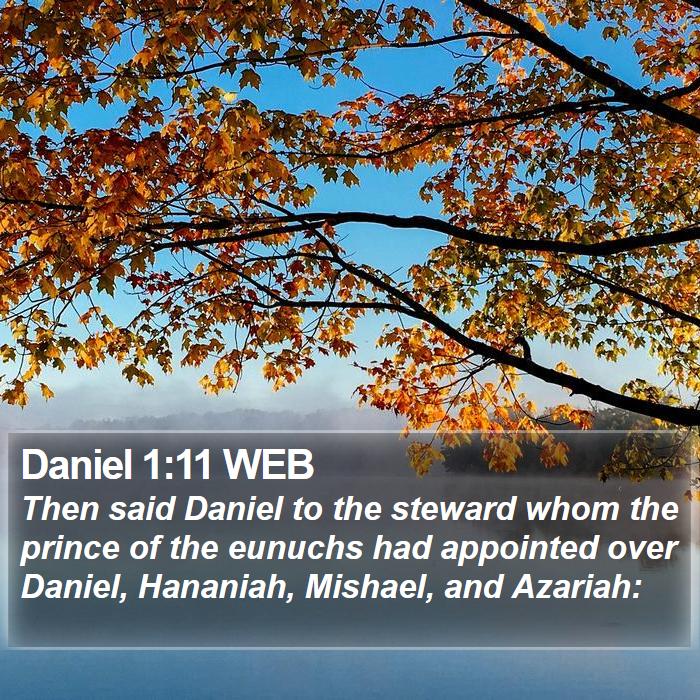 Daniel 1:11 WEB - Then said Daniel to the steward whom the prince - Bible Verse Picture