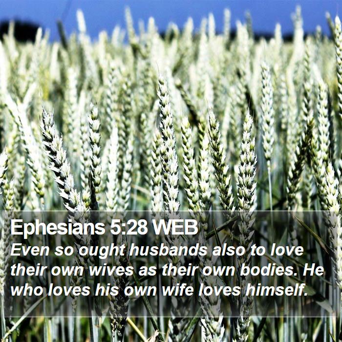 Ephesians 5:28 WEB - Even so ought husbands also to love their own - Bible Verse Picture