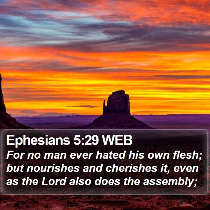 Ephesians 5:29 WEB - For no man ever hated his own flesh; but - Bible Verse Picture