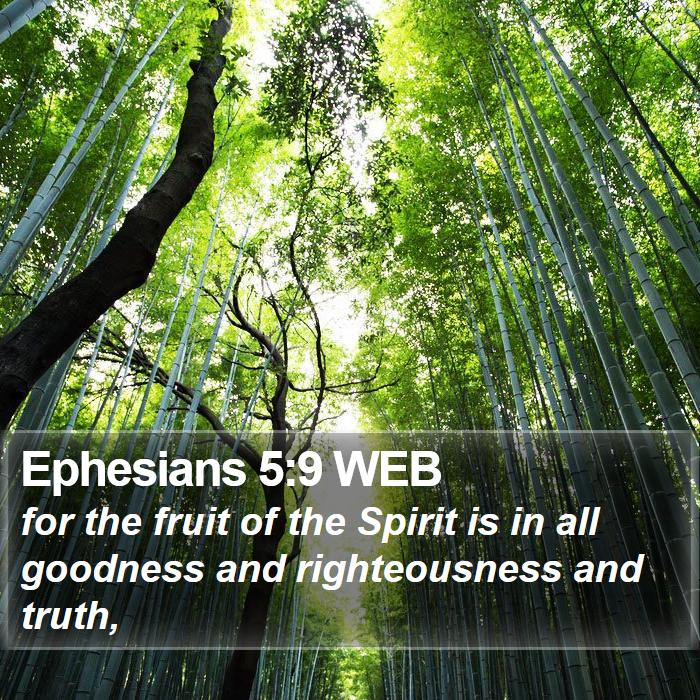 Ephesians 5:9 WEB - for the fruit of the Spirit is in all goodness - Bible Verse Picture