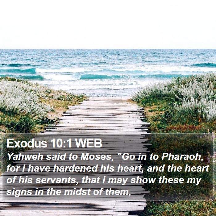 Exodus 10:1 WEB - Yahweh said to Moses, 