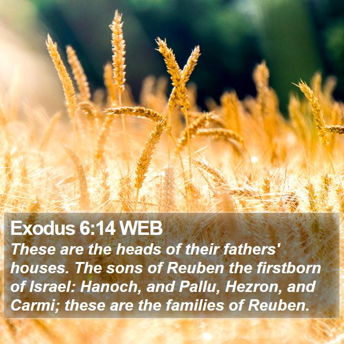 Exodus 6:14 WEB - These are the heads of their fathers' houses. The - Bible Verse Picture