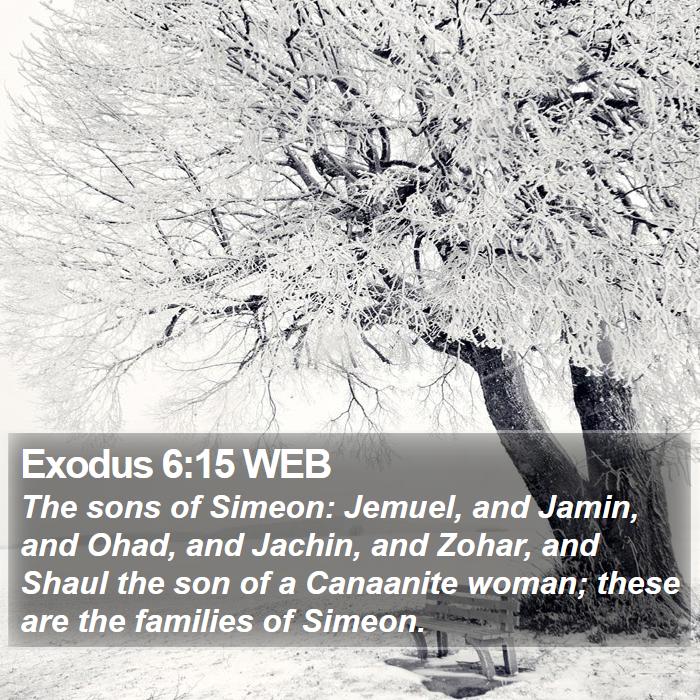 Exodus 6:15 WEB - The sons of Simeon: Jemuel, and Jamin, and Ohad, - Bible Verse Picture
