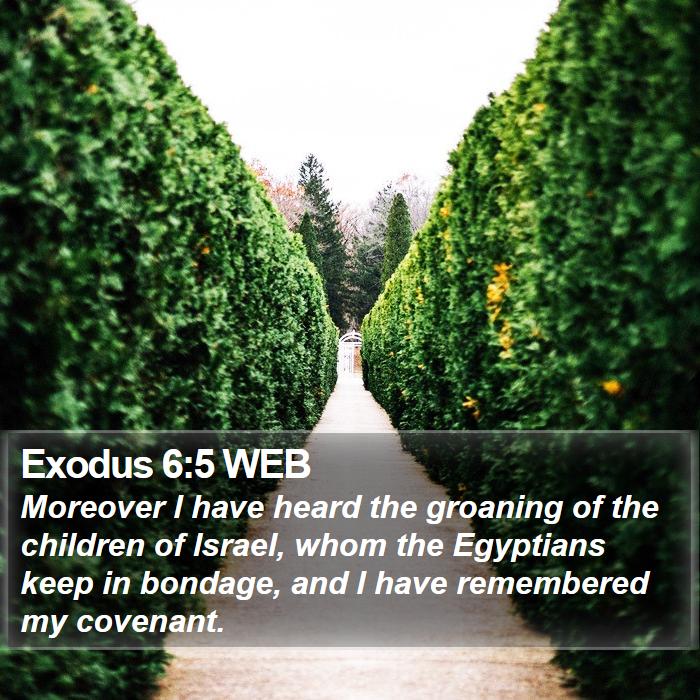 Exodus 6:5 WEB - Moreover I have heard the groaning of the - Bible Verse Picture