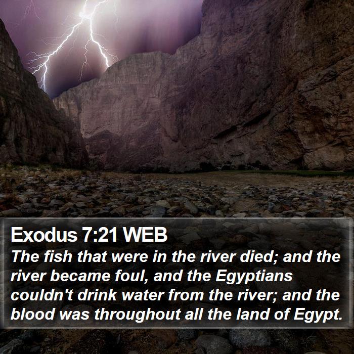 Exodus 7:21 WEB - The fish that were in the river died; and the - Bible Verse Picture