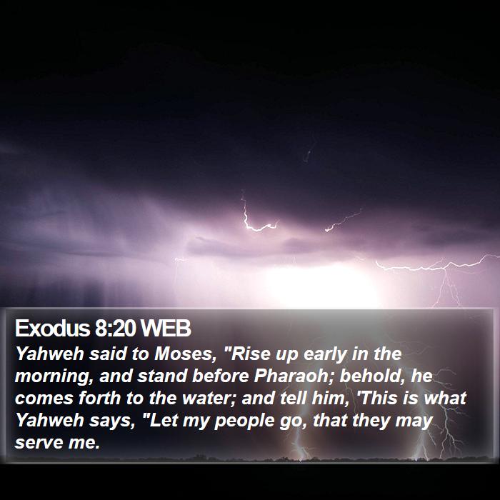 Exodus 8:20 WEB - Yahweh said to Moses, 