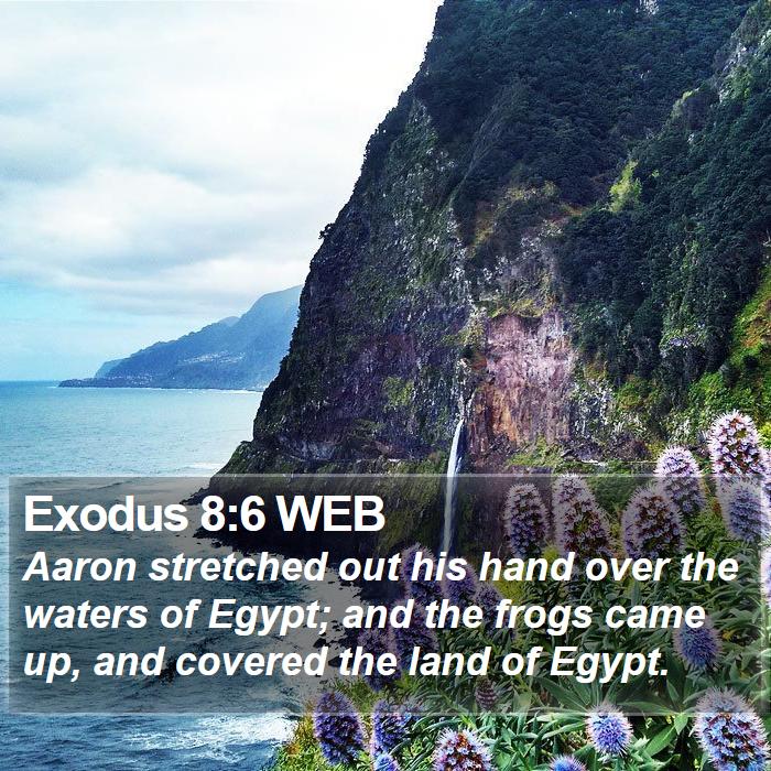 Exodus 8:6 WEB - Aaron stretched out his hand over the waters of - Bible Verse Picture