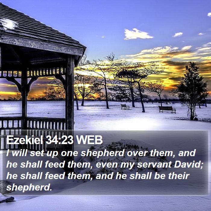 Ezekiel 34:23 WEB - I will set up one shepherd over them, and he - Bible Verse Picture