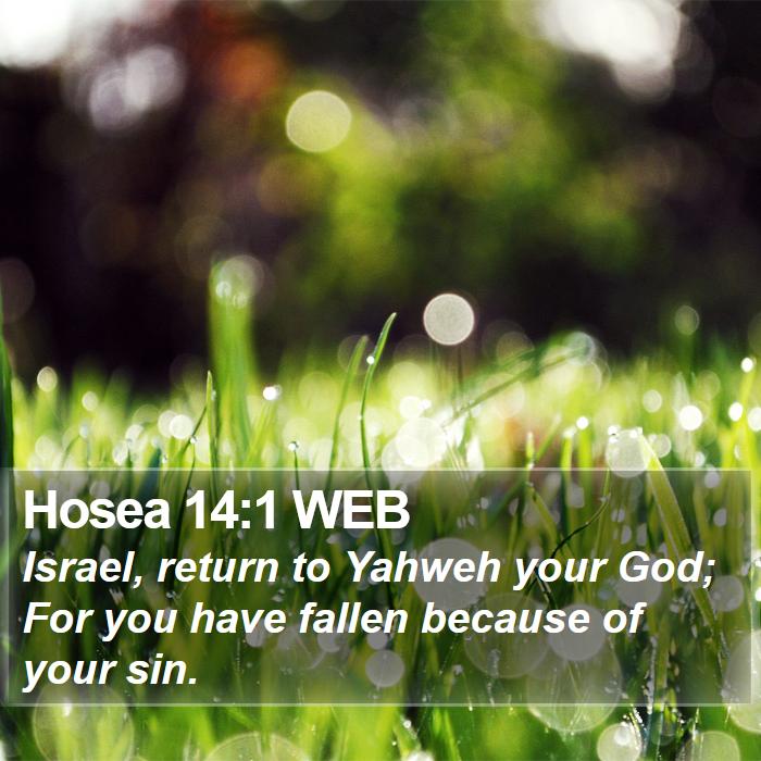 Hosea 14:1 WEB - Israel, return to Yahweh your God; For you have - Bible Verse Picture