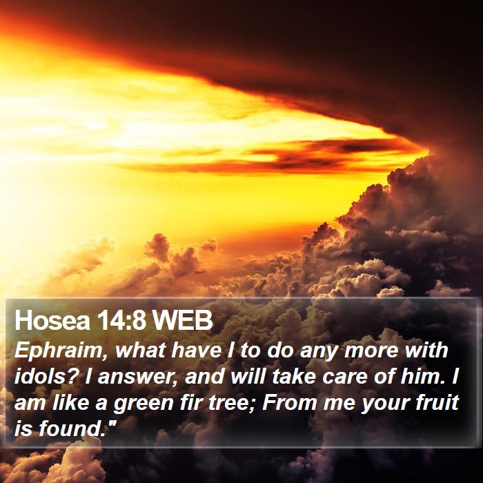 Hosea 14:8 WEB - Ephraim, what have I to do any more with idols? I - Bible Verse Picture