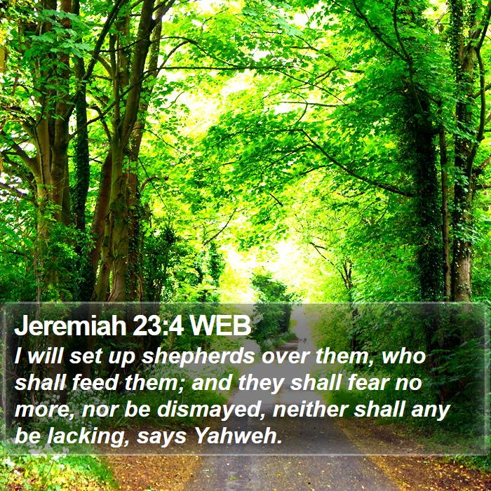 Jeremiah 23:4 WEB - I will set up shepherds over them, who shall feed - Bible Verse Picture