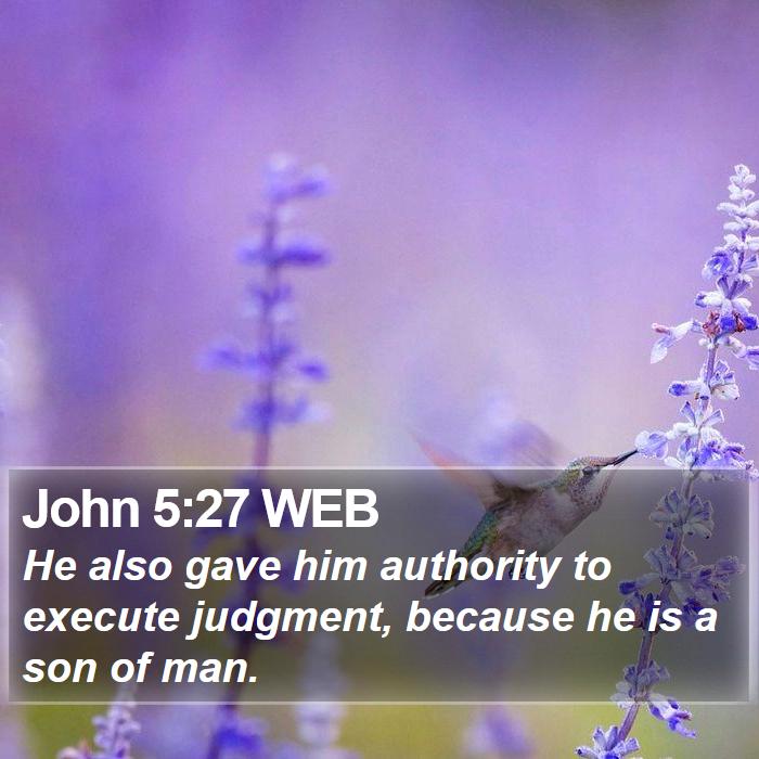 John 5:27 WEB - He also gave him authority to execute judgment, - Bible Verse Picture