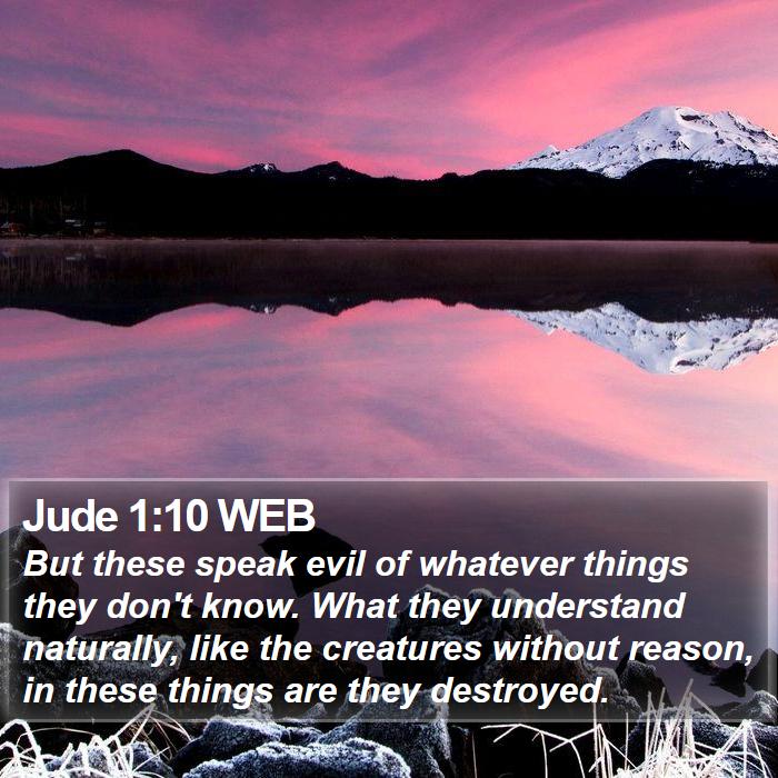 Jude 1:10 WEB - But these speak evil of whatever things they - Bible Verse Picture