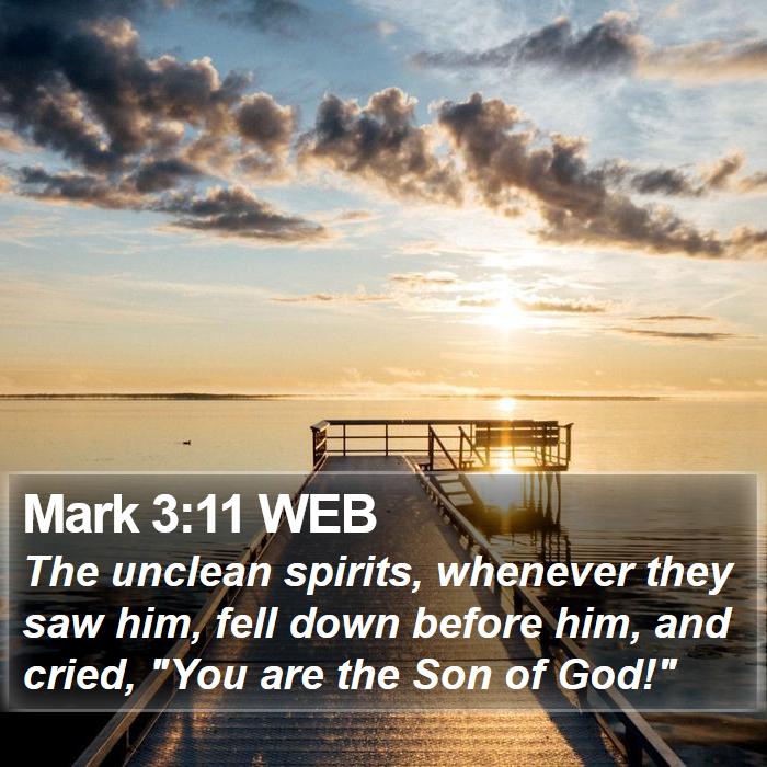 Mark 3:11 WEB - The unclean spirits, whenever they saw him, fell